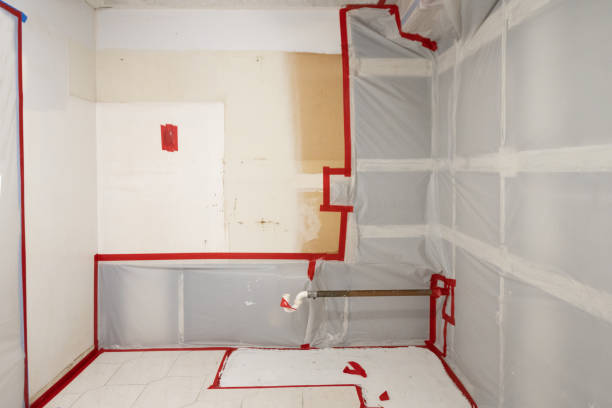 Best Mold Documentation for Insurance Claims  in Rockdale, TX