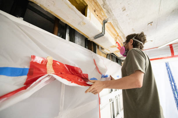  Rockdale, TX Mold Removal Pros