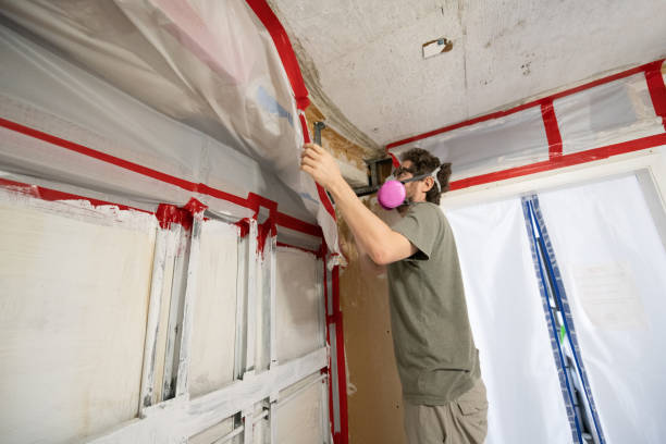 Forensic Mold Investigation in Rockdale, TX