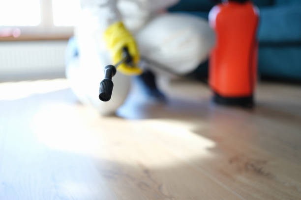 Mold Removal for HVAC Installations in Rockdale, TX