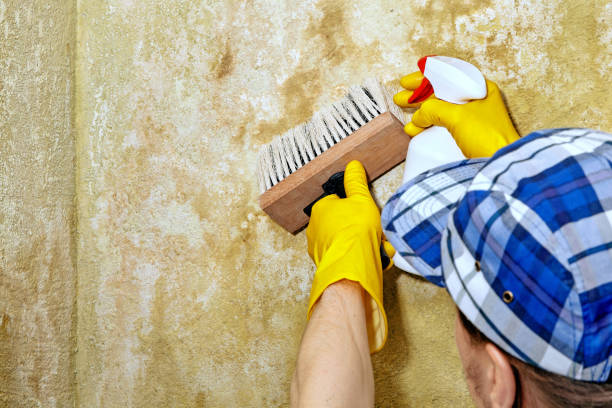 Best Airborne Mold Testing  in Rockdale, TX