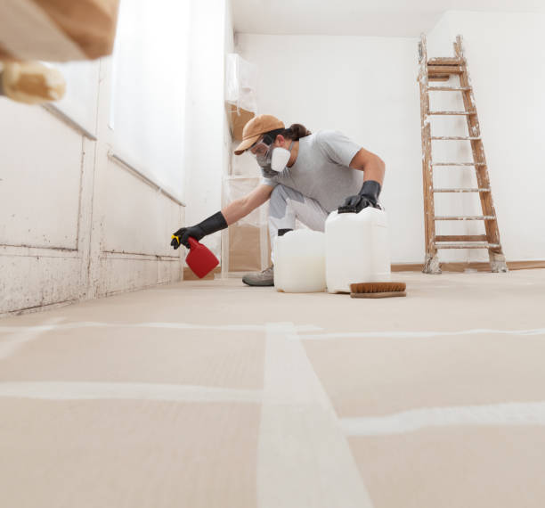 Best Mold-Related Health Consultation  in Rockdale, TX