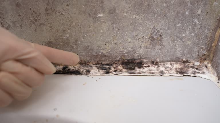 Best HVAC Mold Inspection and Cleaning  in Rockdale, TX